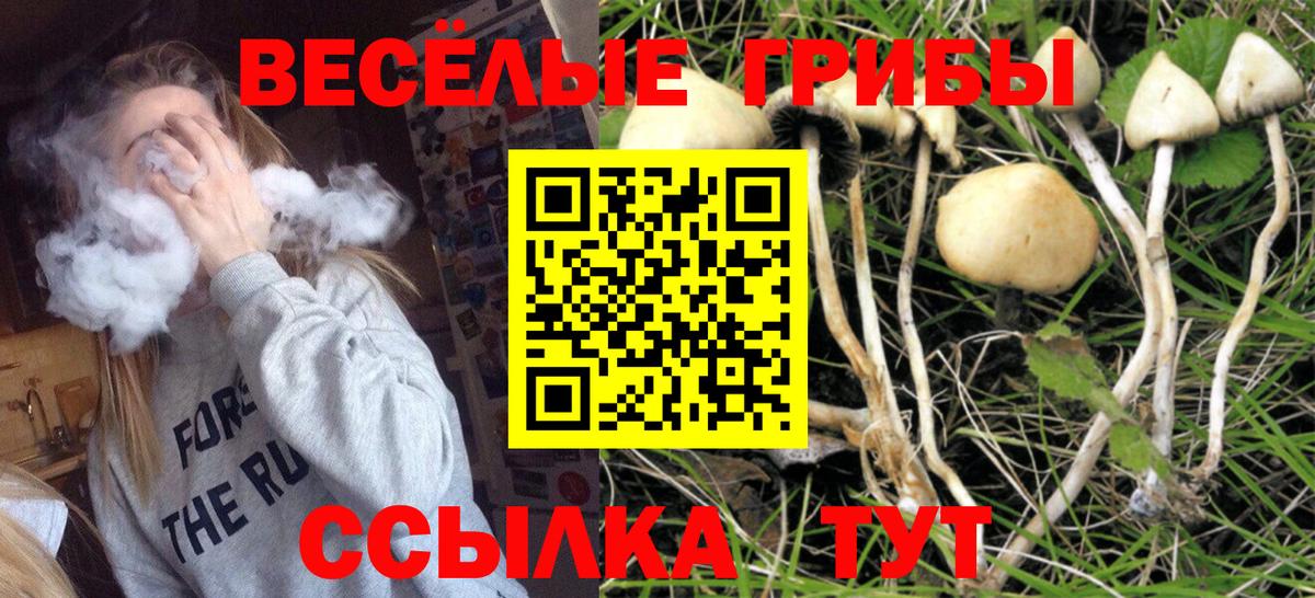 Псилоцибиновые грибы прущие грибы  Псилоцибиновые грибы GOLDEN TEACHER  Вход с VPN  Малгобек 